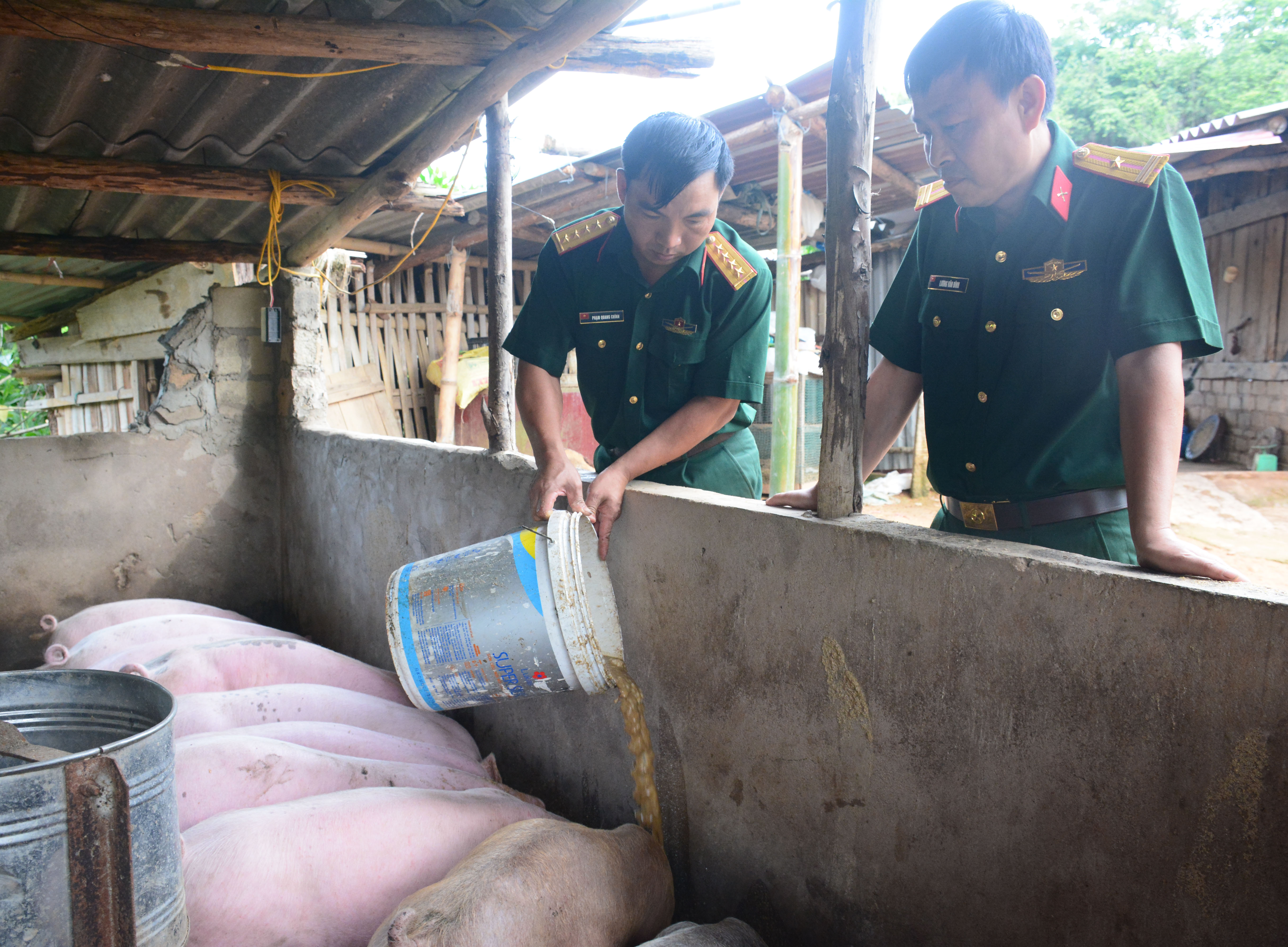 Bài 2: Trên quê hương thứ hai