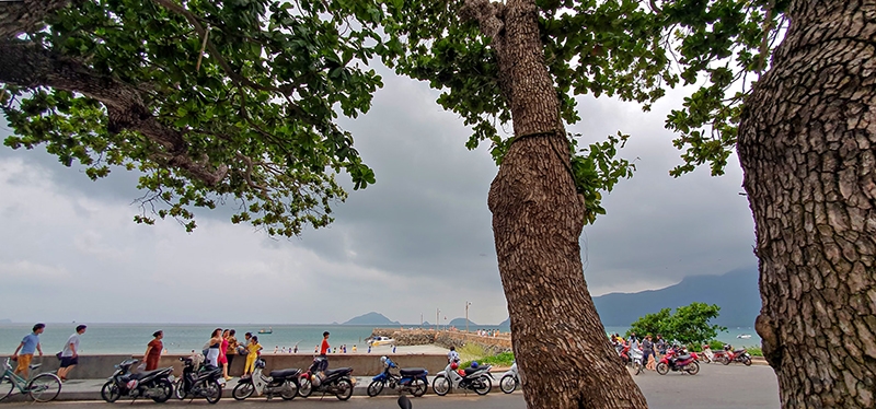 Cầu tàu 914 phía trước dinh chúa đảo. Ước tính có đến 914 tù nhân trên đảo ngã xuống trong quá trình xây dựng cầu. Lịch sử khốc liệt của chiếc cầu đã lùi xa, nơi đây đã trở thành điểm dừng chân không thể thiếu của du khách khi đến với Côn Đảo.