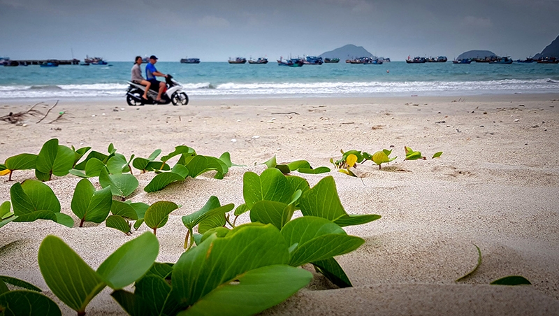 Dọc theo con đường ven biển, du khách dễ dàng cảm nhận được nhịp sống chậm rãi của người dân trên đảo.