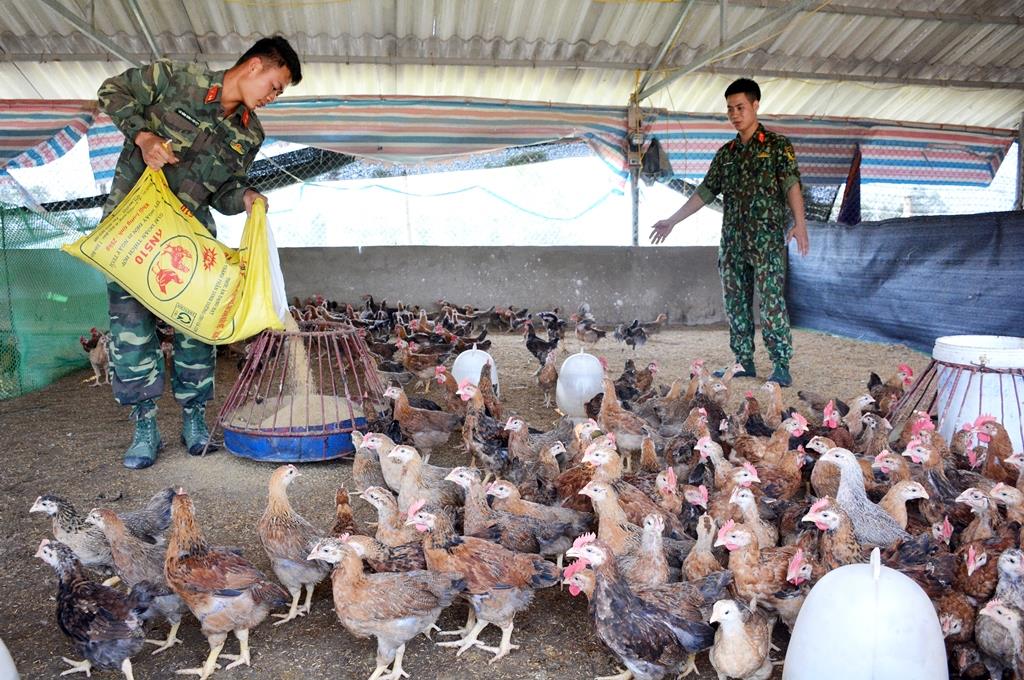 Dù gian khó vẫn đạt hiệu quả cao nhờ mạnh dạn, sáng tạo 