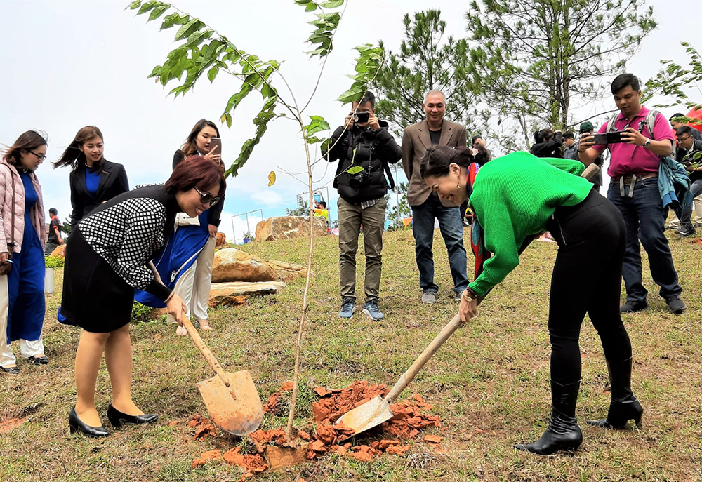 Trồng 1000 cây mai anh đào trên núi Langbiang