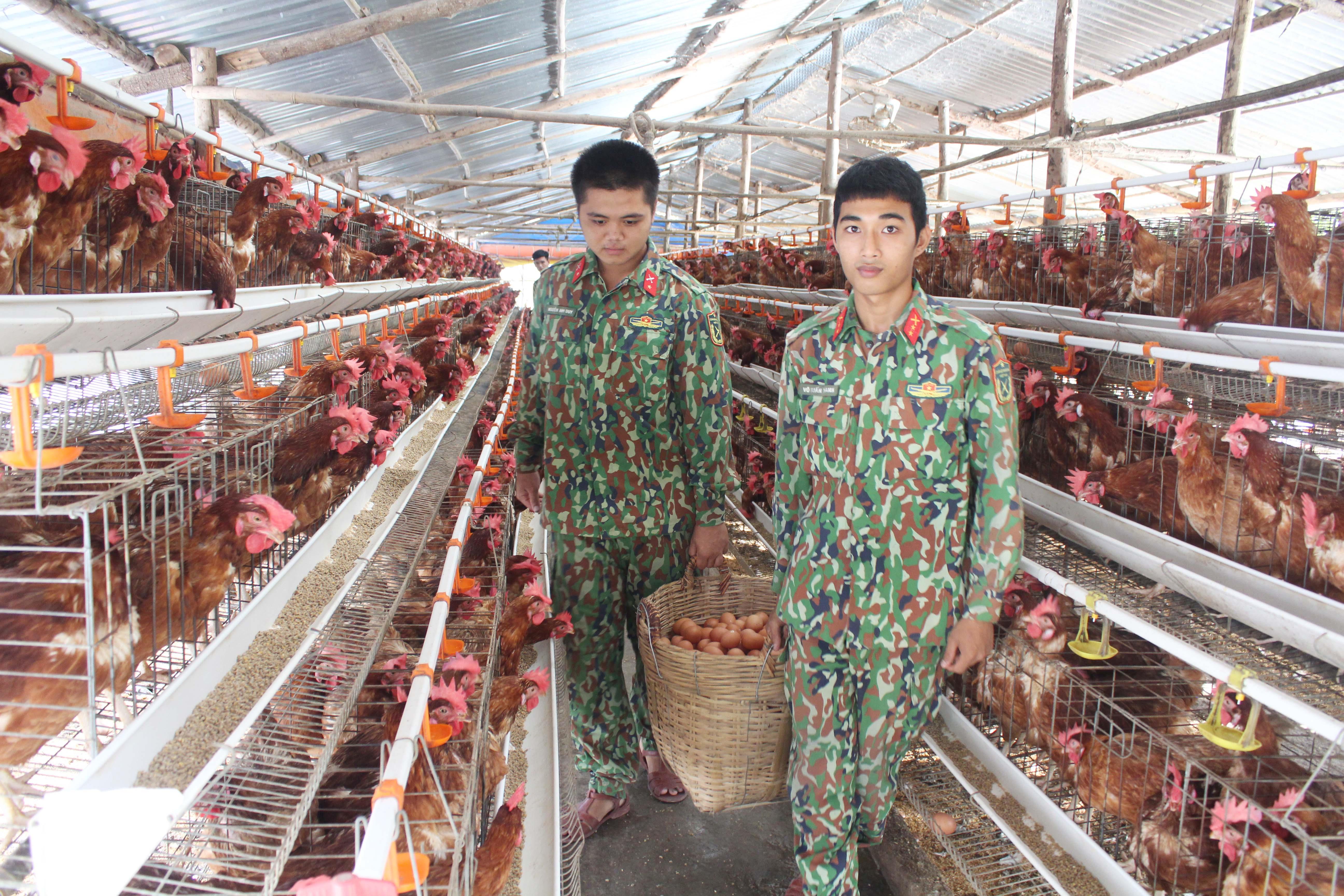  Tạo nguồn thực phẩm ngon, sạch đưa vào bữa ăn bộ đội