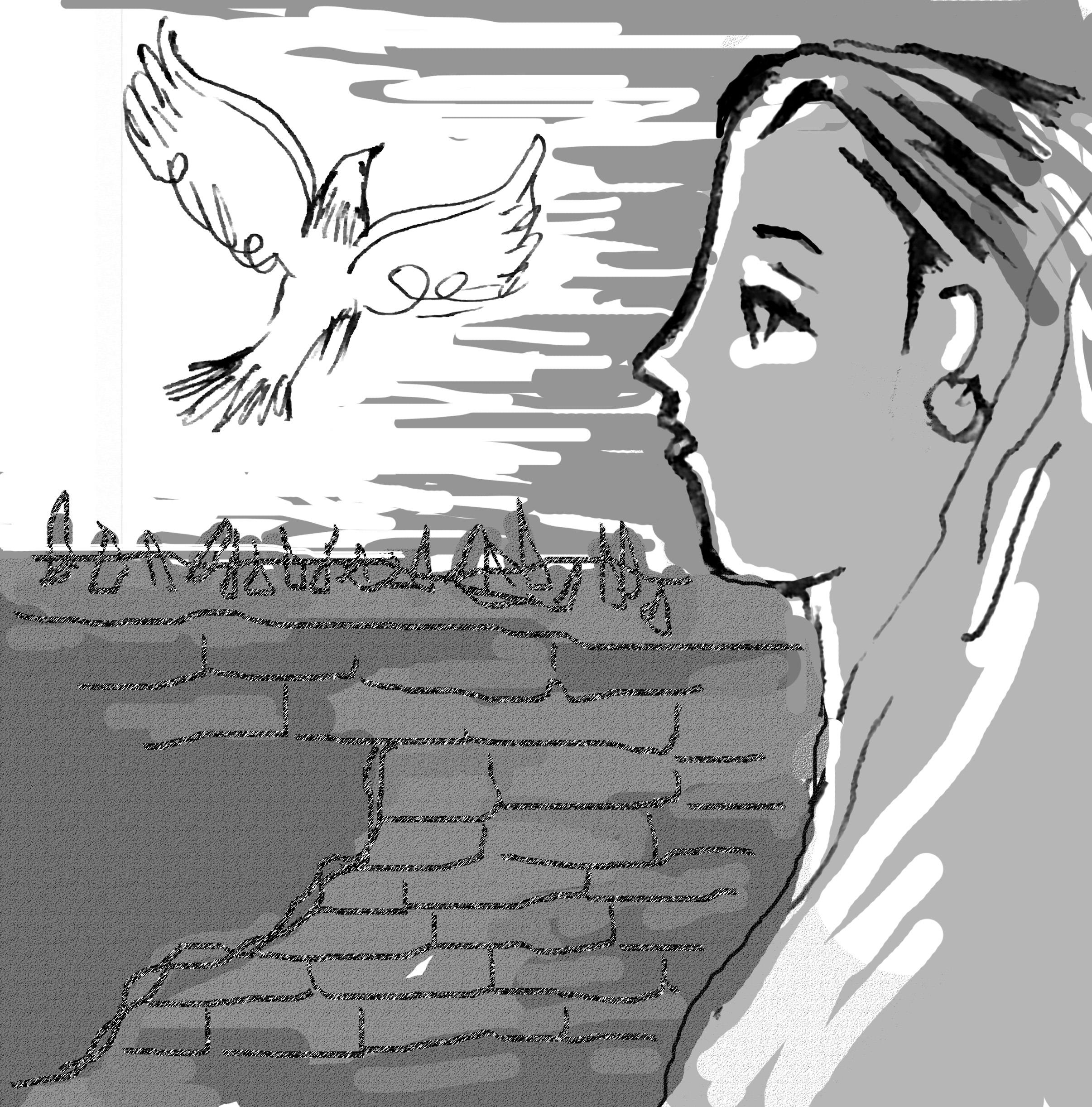 Tiếng chim và bức tường mảnh chai