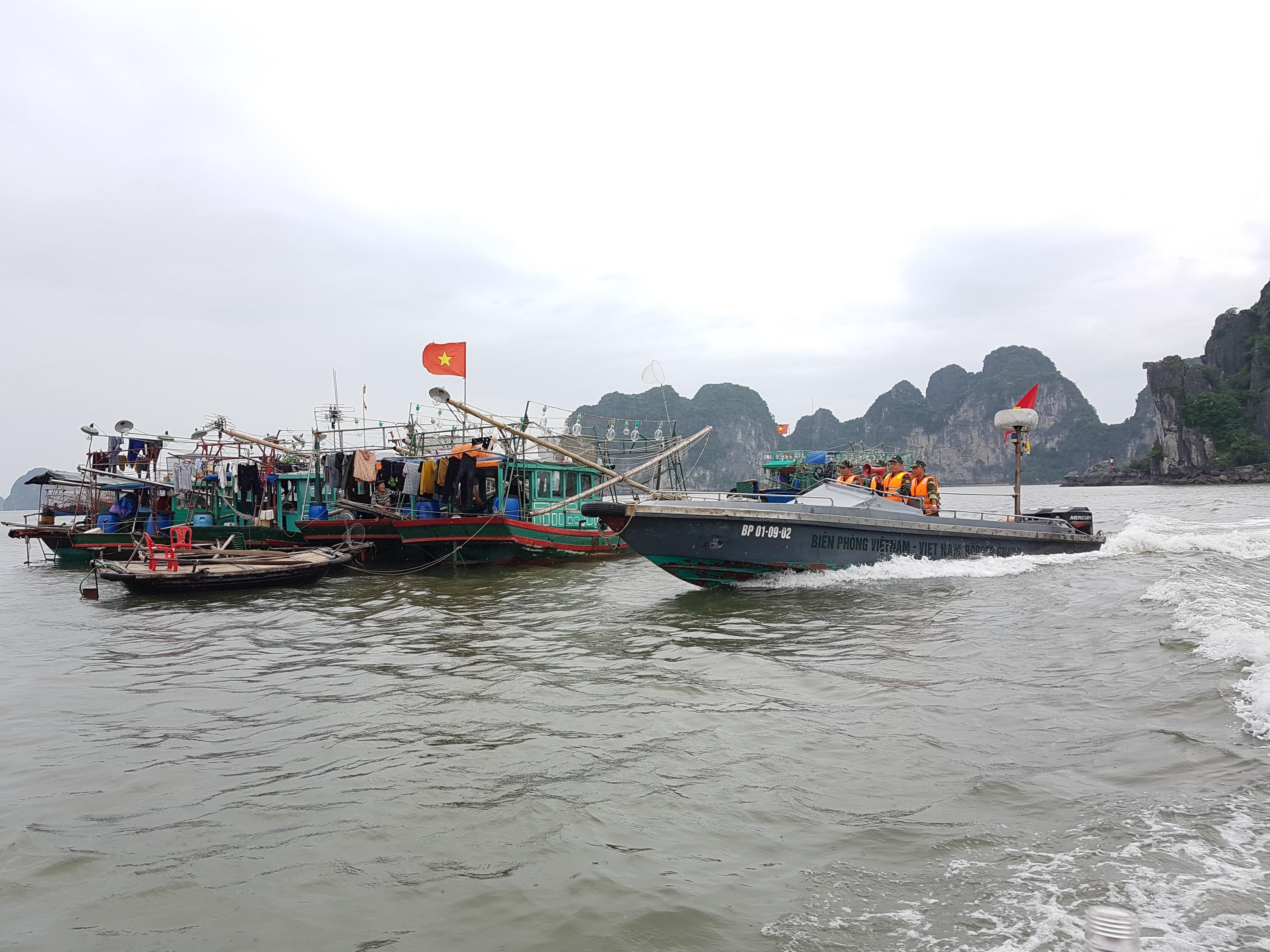 Triển khai các phương án ứng phó bão và mưa lũ