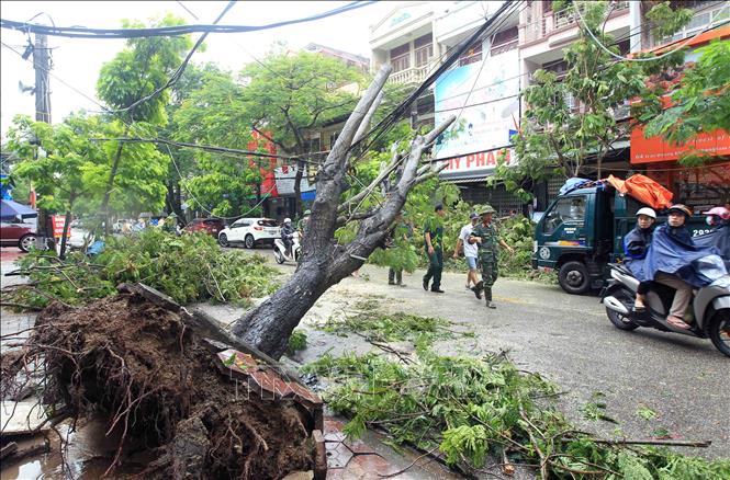 Theo dõi chặt chẽ diễn biến áp thấp nhiệt đới để chủ động ứng phó 