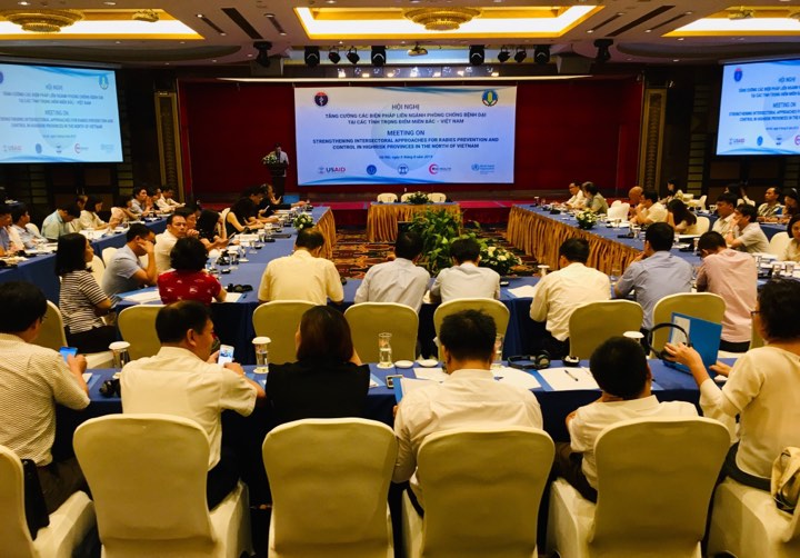 Số người chết do bệnh dại vẫn ở mức cao