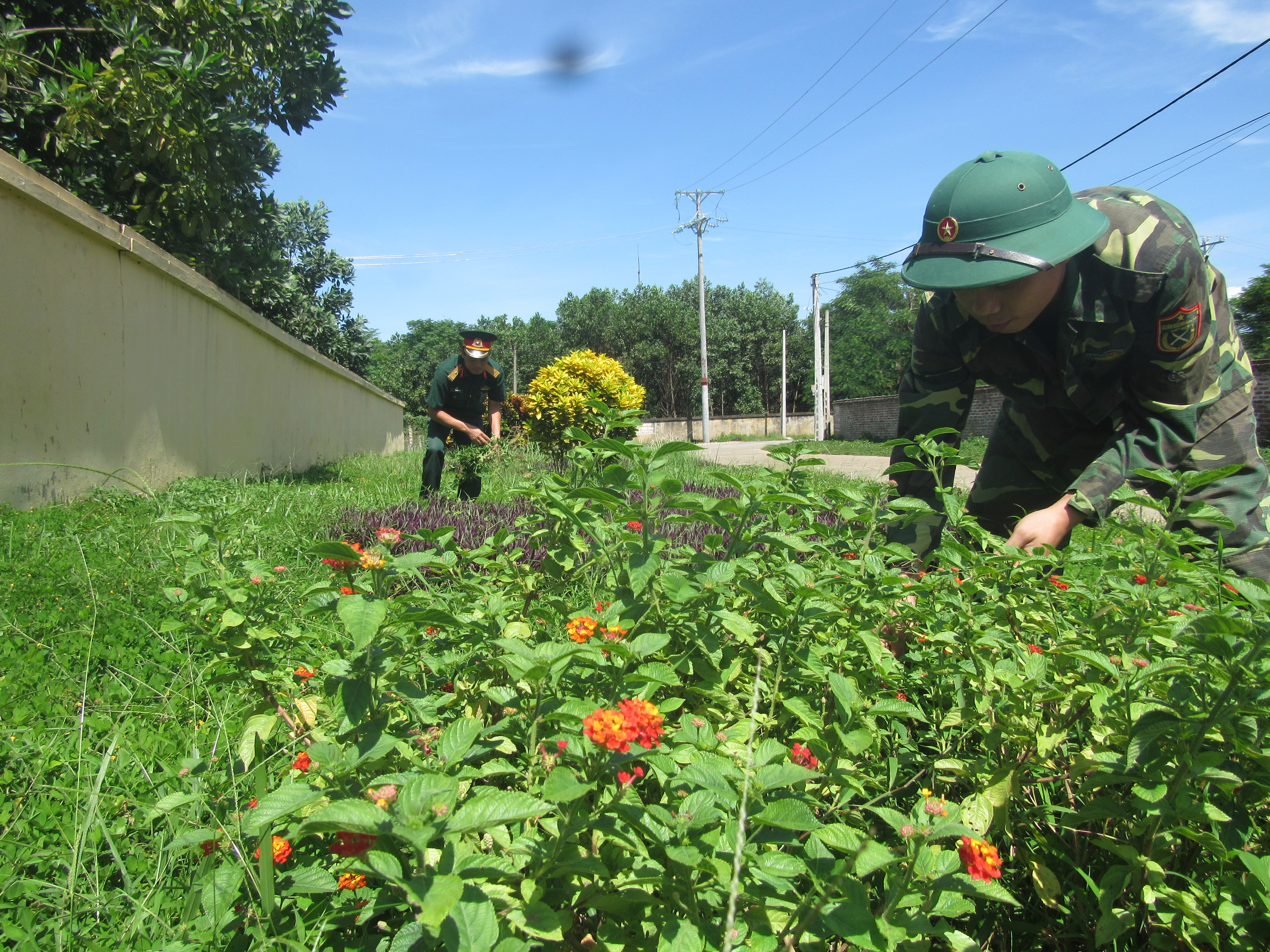 Biến ”điểm đen bãi rác” thành con đường hoa