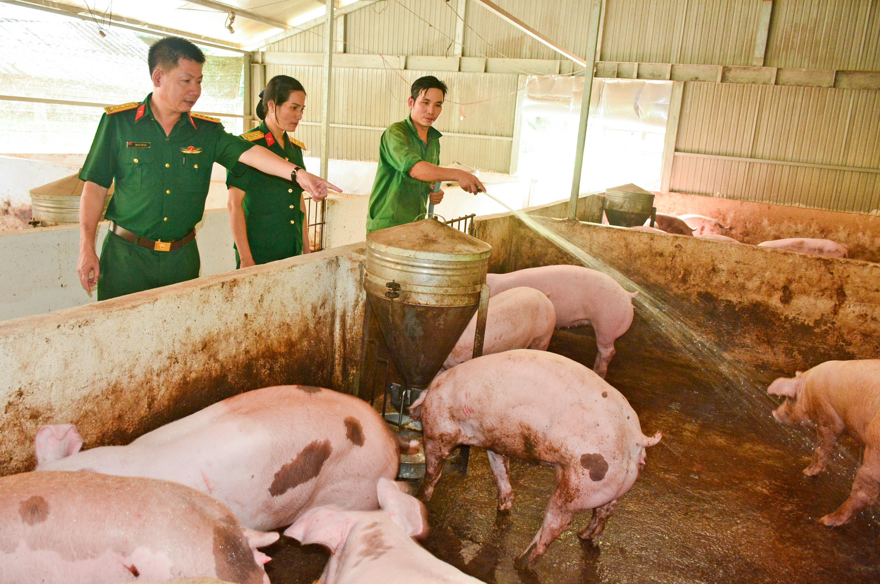 Chuyện hậu cần trên vùng biên giới Mô Rai