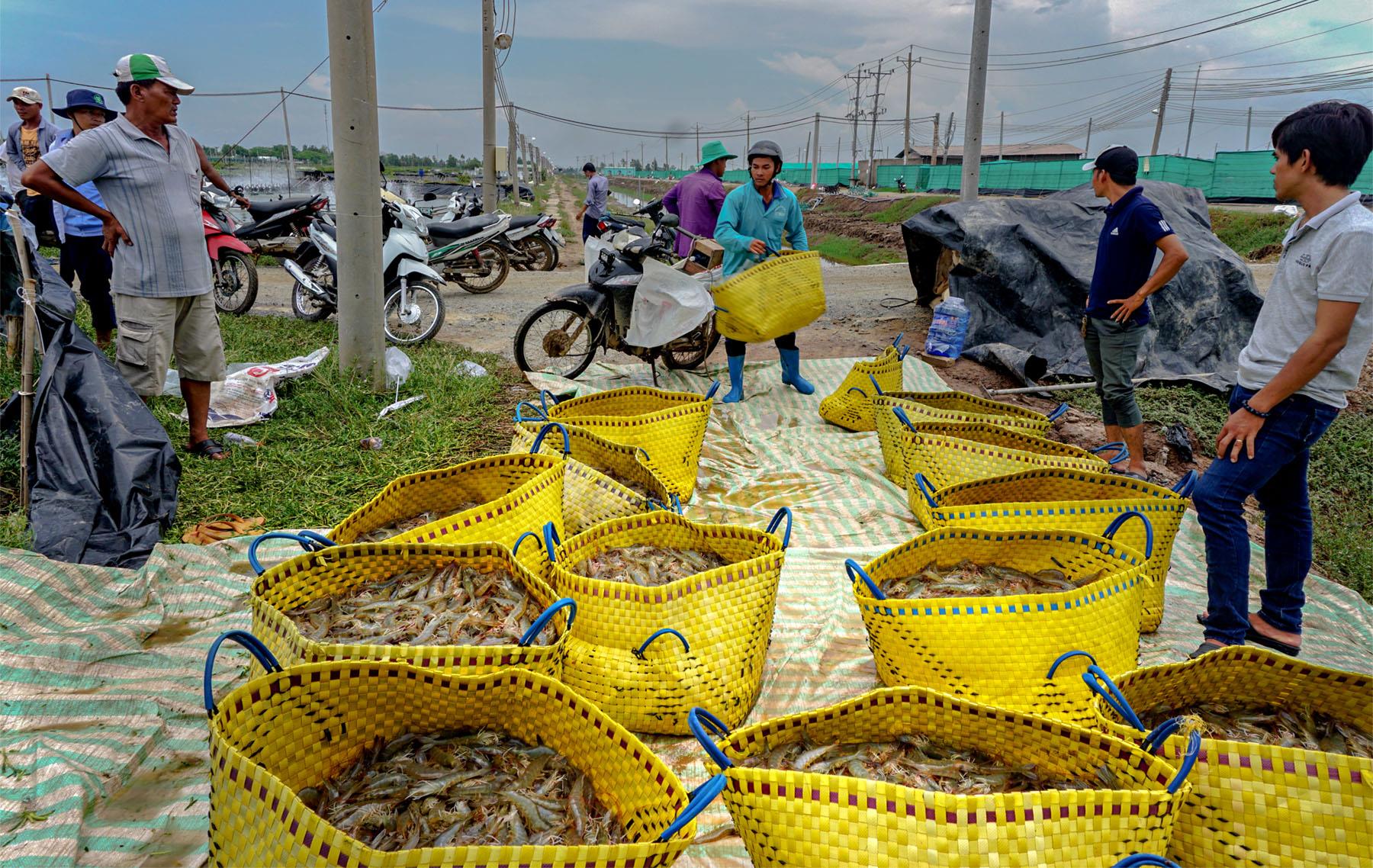 Vì sao chỉ thành công... 