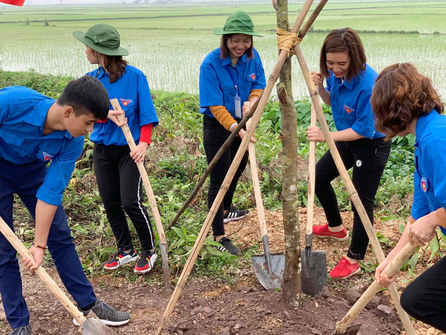 Hội đồng Đội Trung ương triển khai chương trình “Ươm mầm xanh” tại 10 tỉnh, thành phố 