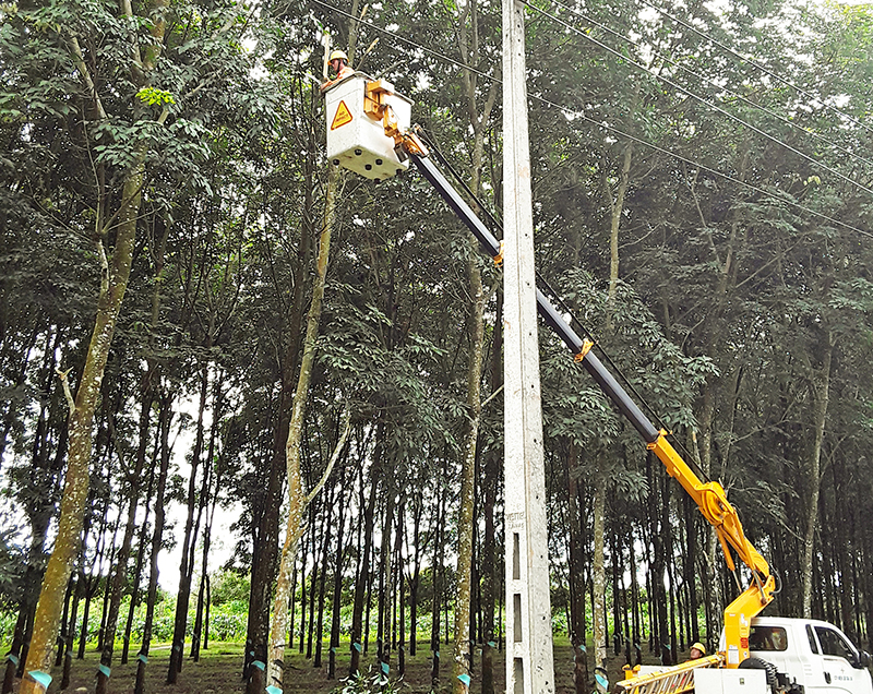 Chấn chỉnh, bảo vệ hành lang an toàn lưới điện

