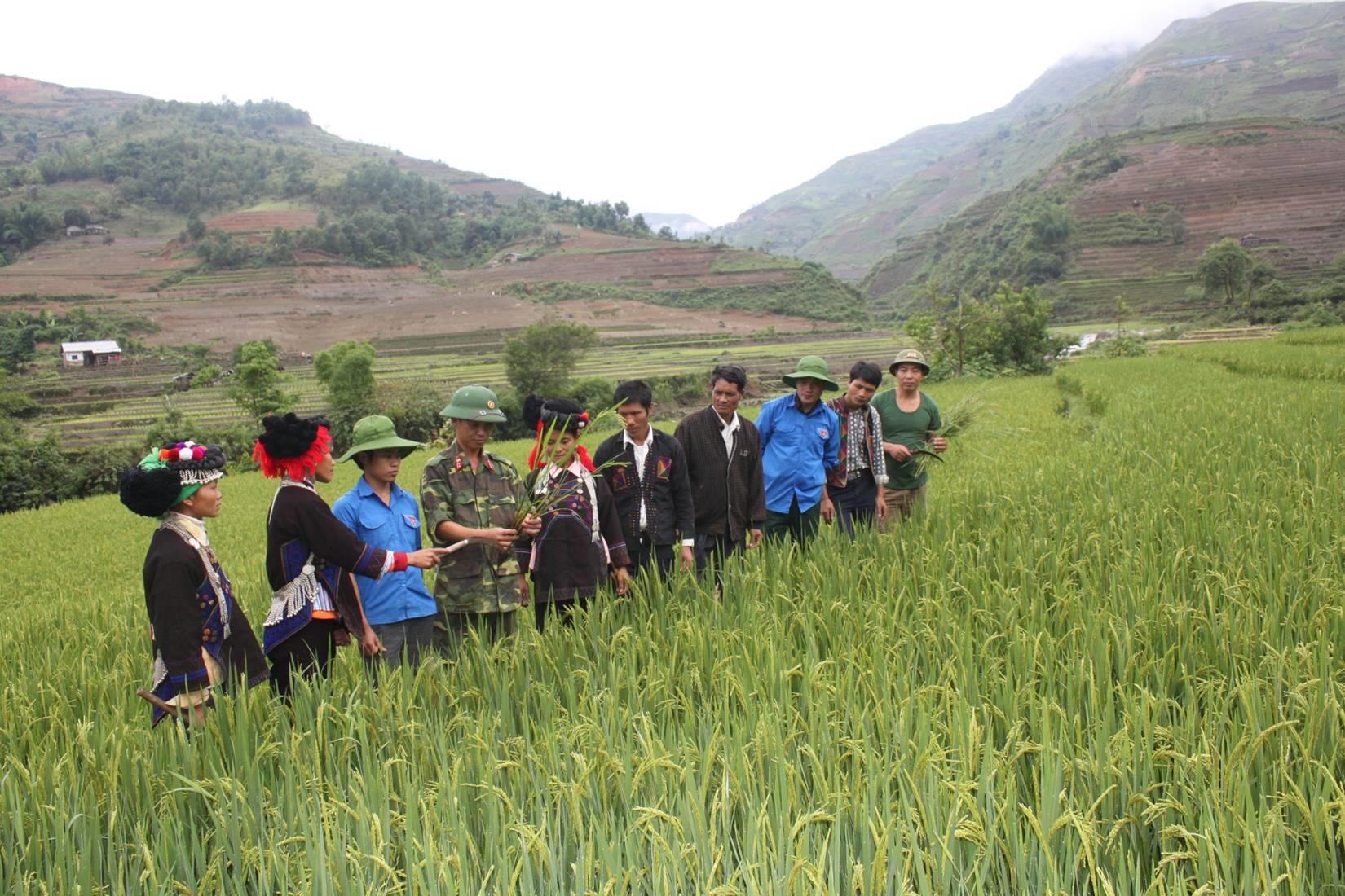 Bài 2: Lấy củng cố hệ thống chính trị cơ sở làm rường cột