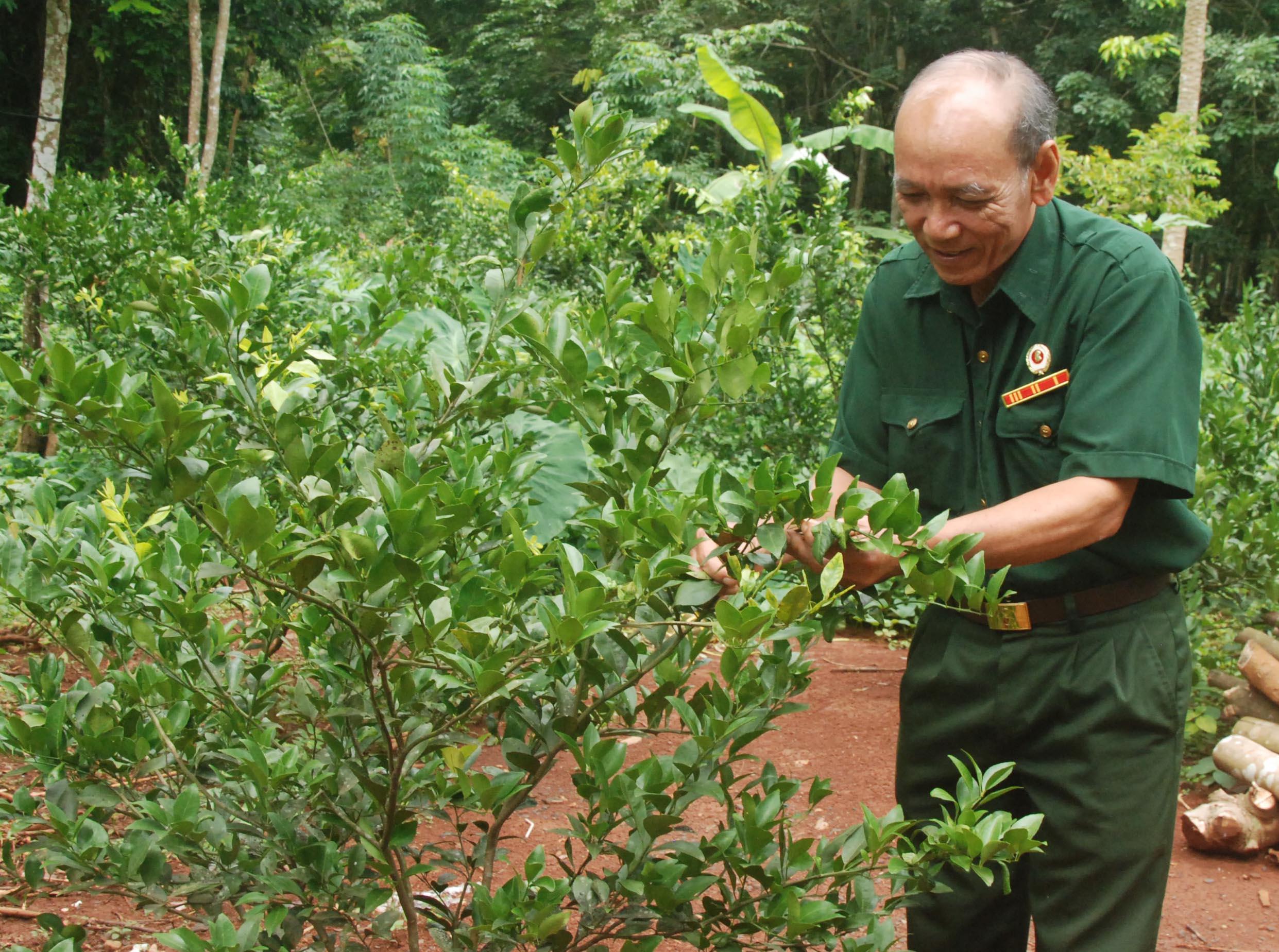 Gương mẫu, tận tâm với công tác hội