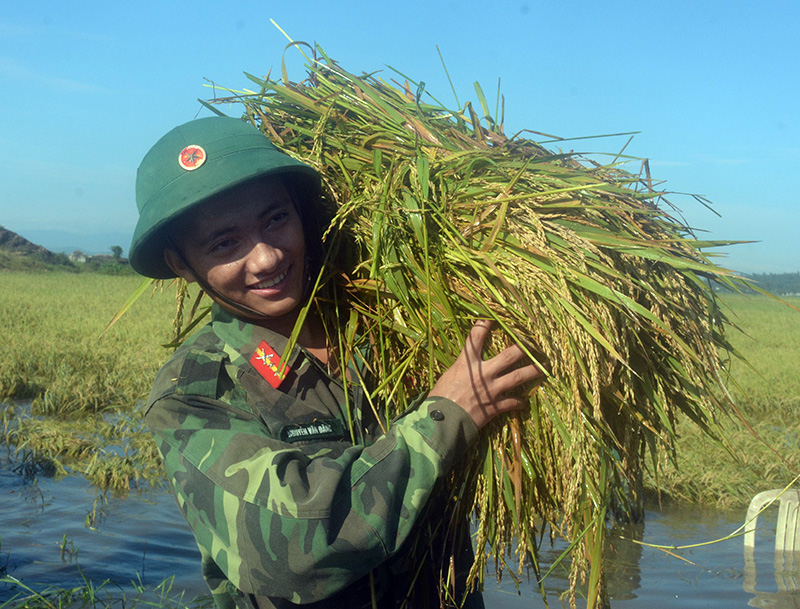 Lực lượng vũ trang Hà Tĩnh giúp dân khắc phục hậu quả mưa lũ
