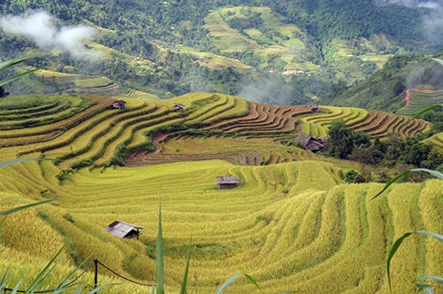 Đặc sắc Tuần văn hóa du lịch “Qua miền những di sản ruộng bậc thang”