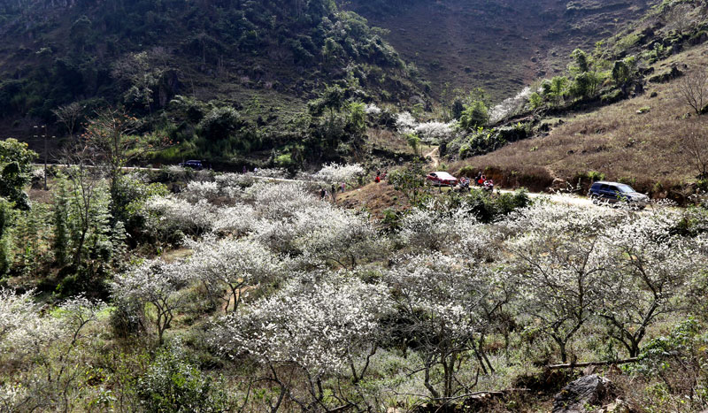 Du lịch Việt Nam: Phát triển du lịch cộng đồng gắn với gìn giữ văn hóa bản địa

