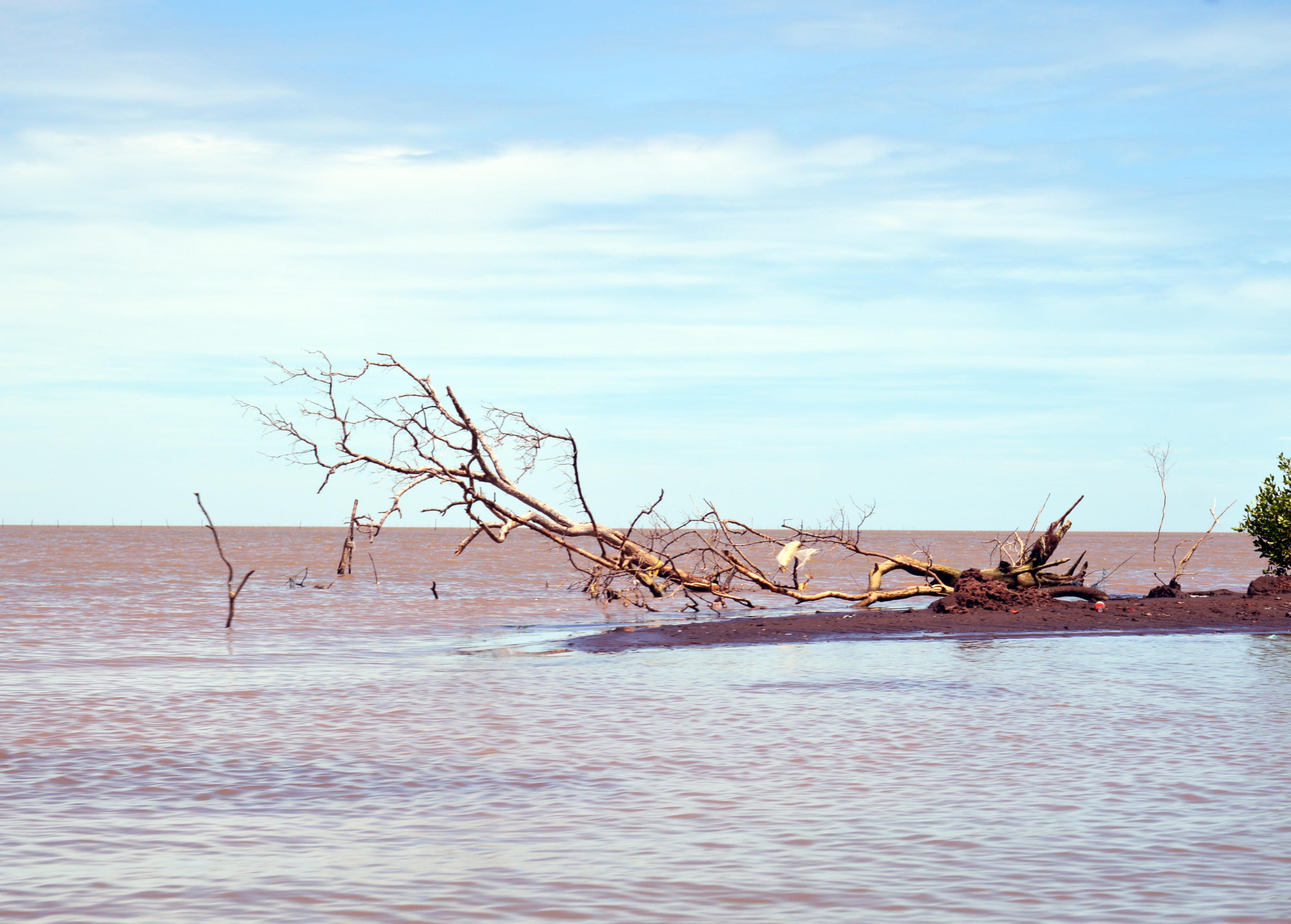 Bài 2: Đi tìm nguyên nhân