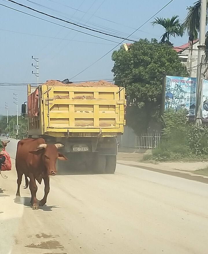 Thông tin từ đường dây nóng