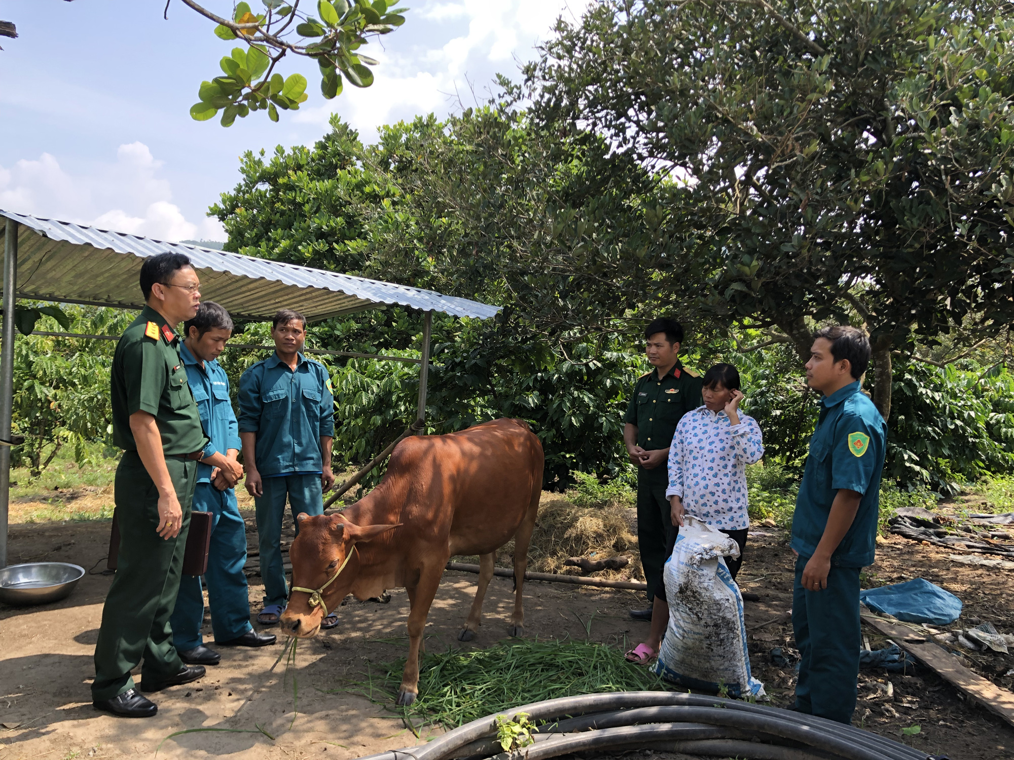 Đắk Lắk trao bò giống tặng hai hộ nghèo

