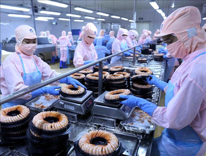 Việt Nam tăng 10 bậc năng lực cạnh tranh trong đánh giá của WEF