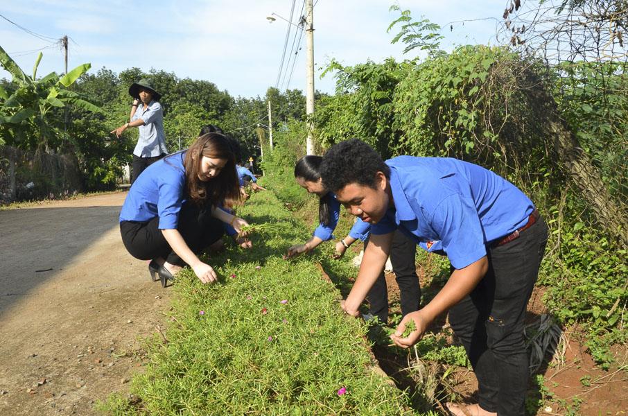 Những tuyến đường “5 không, 3 có”