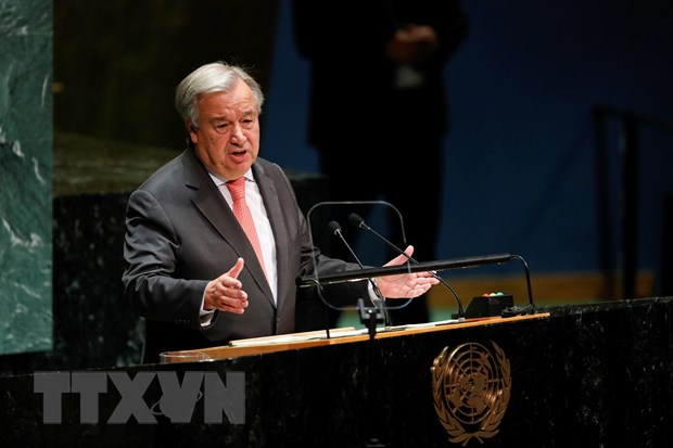 Nỗi ám ảnh “cháy túi”