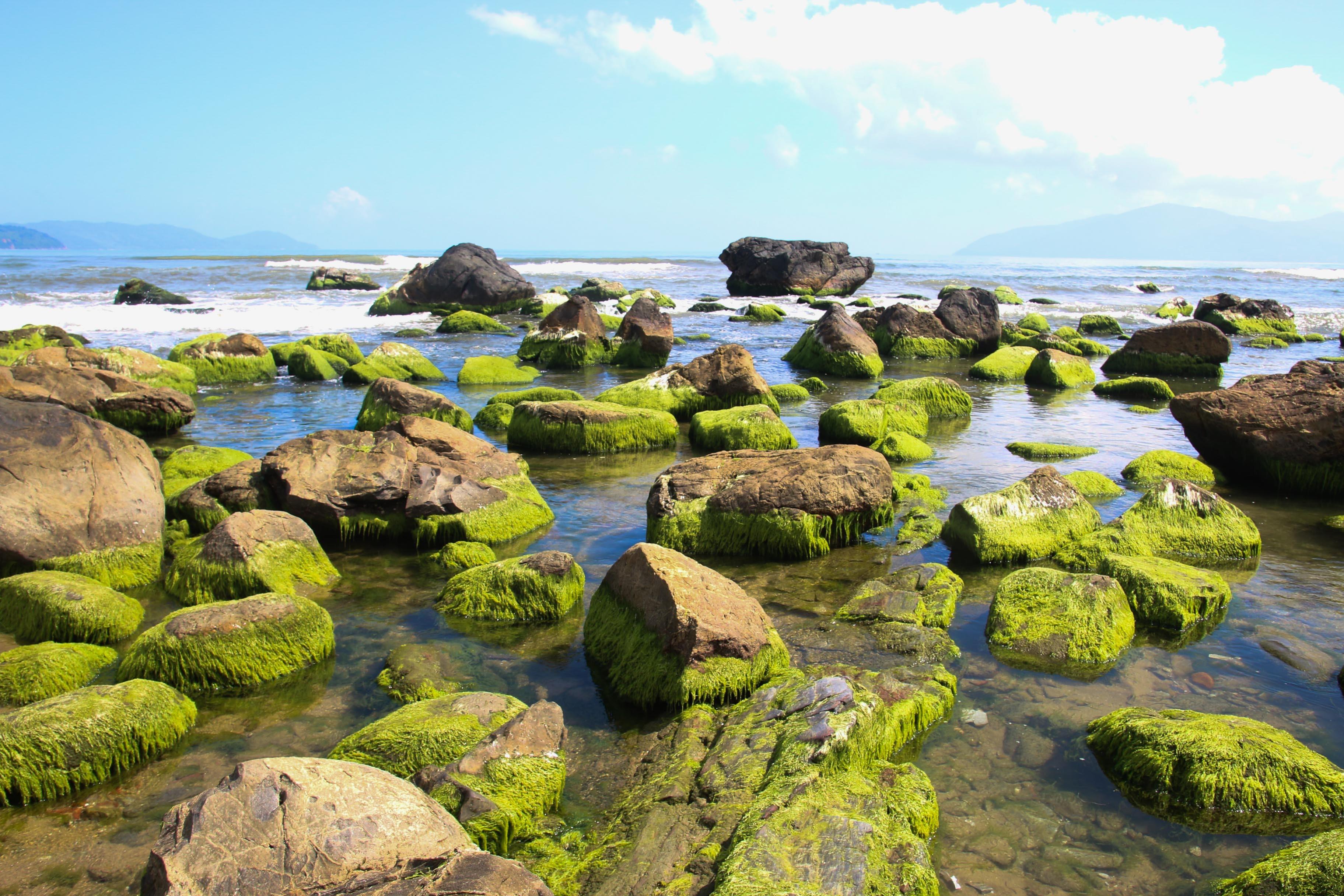 Chốn bình yên của Đà Nẵng sôi động