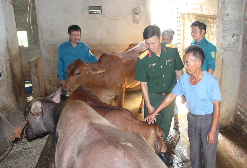“Lục lạc vàng” ở Yên Định

