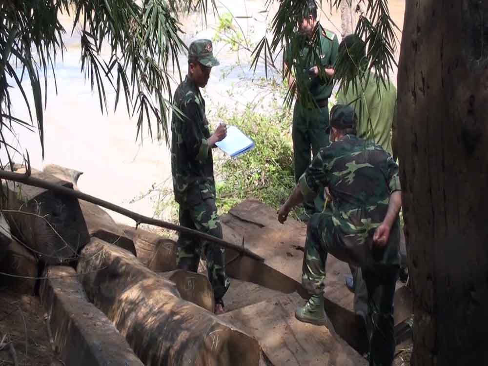 Phát hiện và thu giữ hơn 5 khối gỗ vô chủ