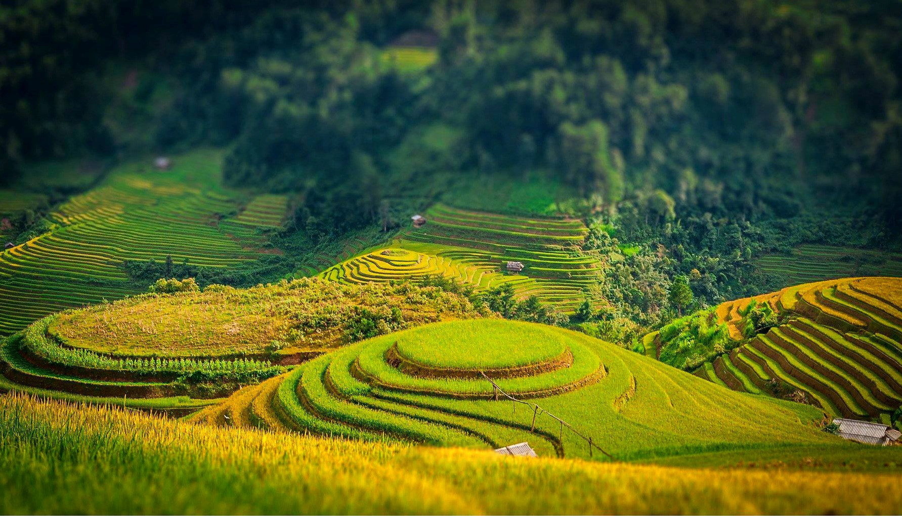 Phát triển nông nghiệp theo hướng an toàn, bảo đảm nguồn thực phẩm ...