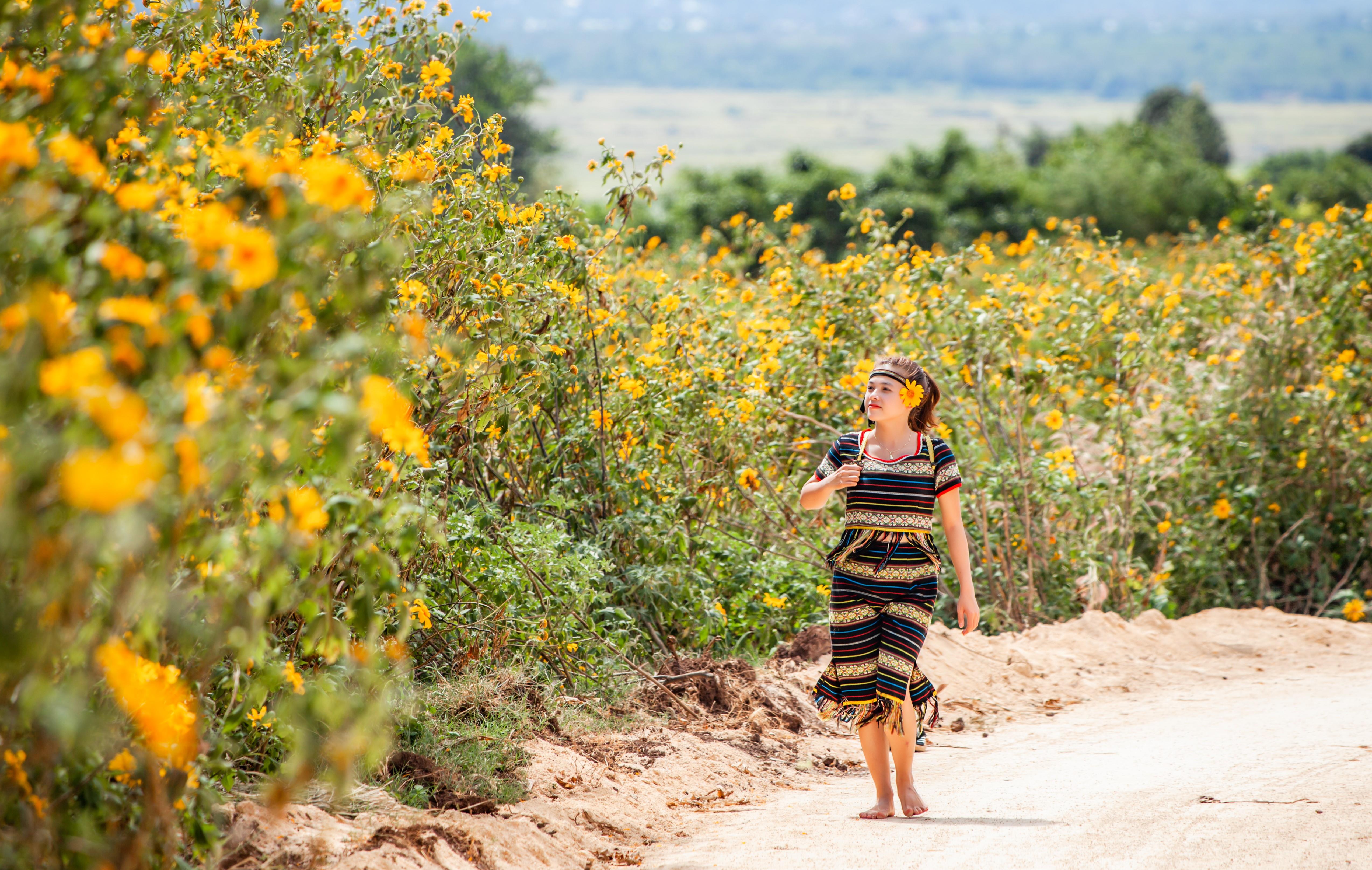 Bình nguyên dưới chân núi Chư Đăng Ya