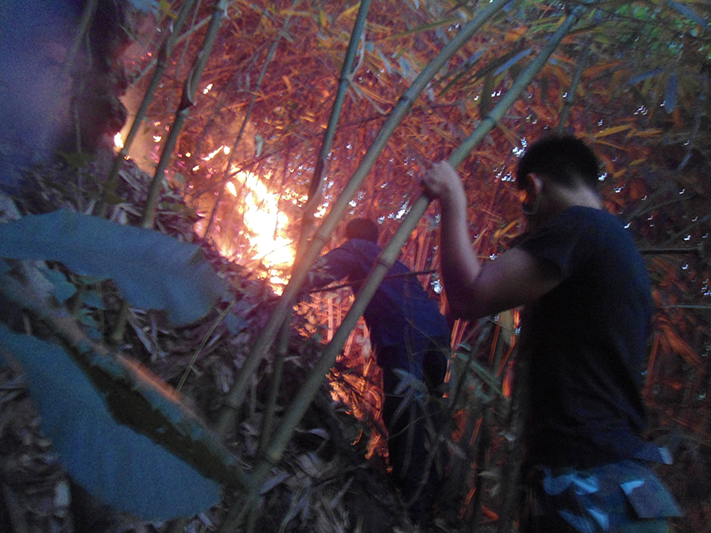 Trung đoàn 295 huy động gần 200 cán bộ, chiến sỹ chữa cháy rừng