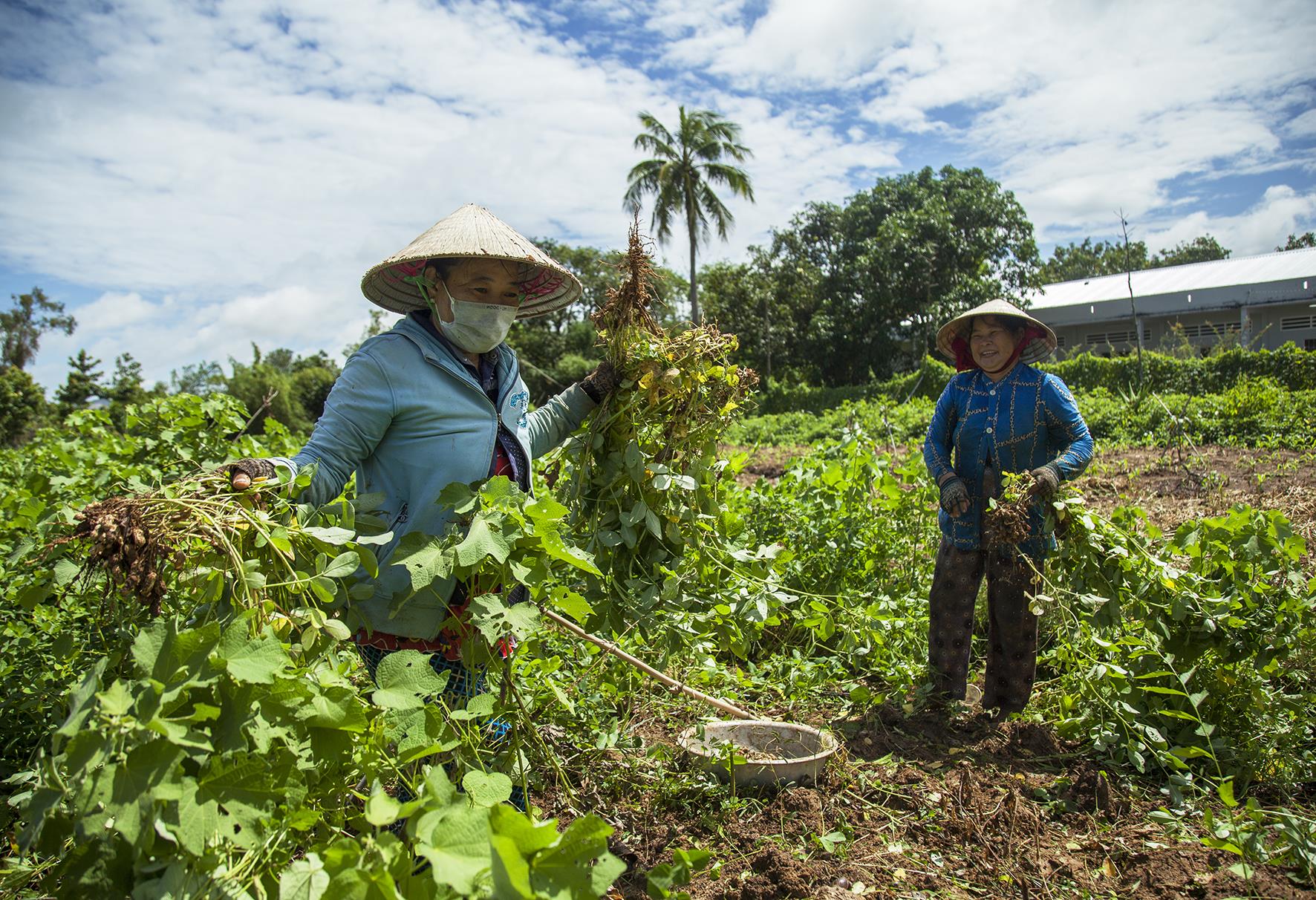 Nắm chắc khả năng, xác định phương thức hỗ trợ phù hợp