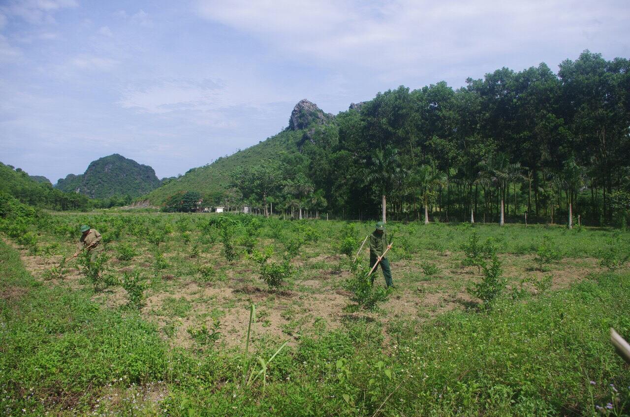 Phát huy nội lực, nâng cao hiệu quả công tác tăng gia sản xuất 