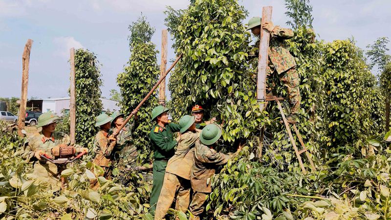 Lữ đoàn Công binh 7 (Quân đoàn 3) điều động 50 cán bộ, chiến sĩ giúp nhân dân khắc phục hậu quả mưa bão