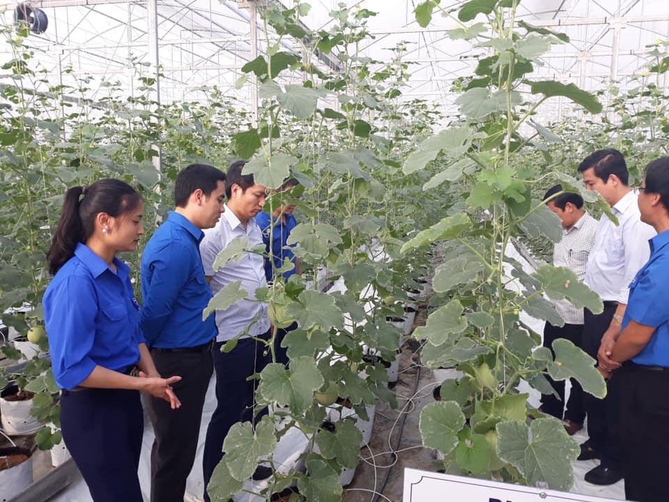 Nông thôn đổi thay từ bàn tay tuổi trẻ