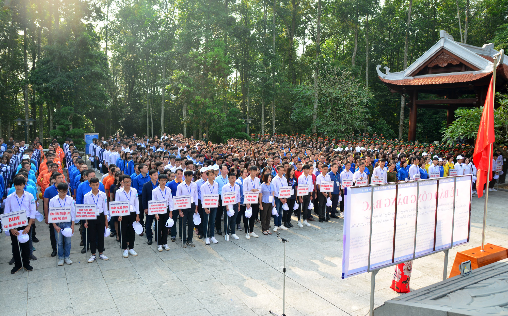Trồng hơn 2000 cây thông mã vĩ tại Khu Di tích Đá Chông-K9