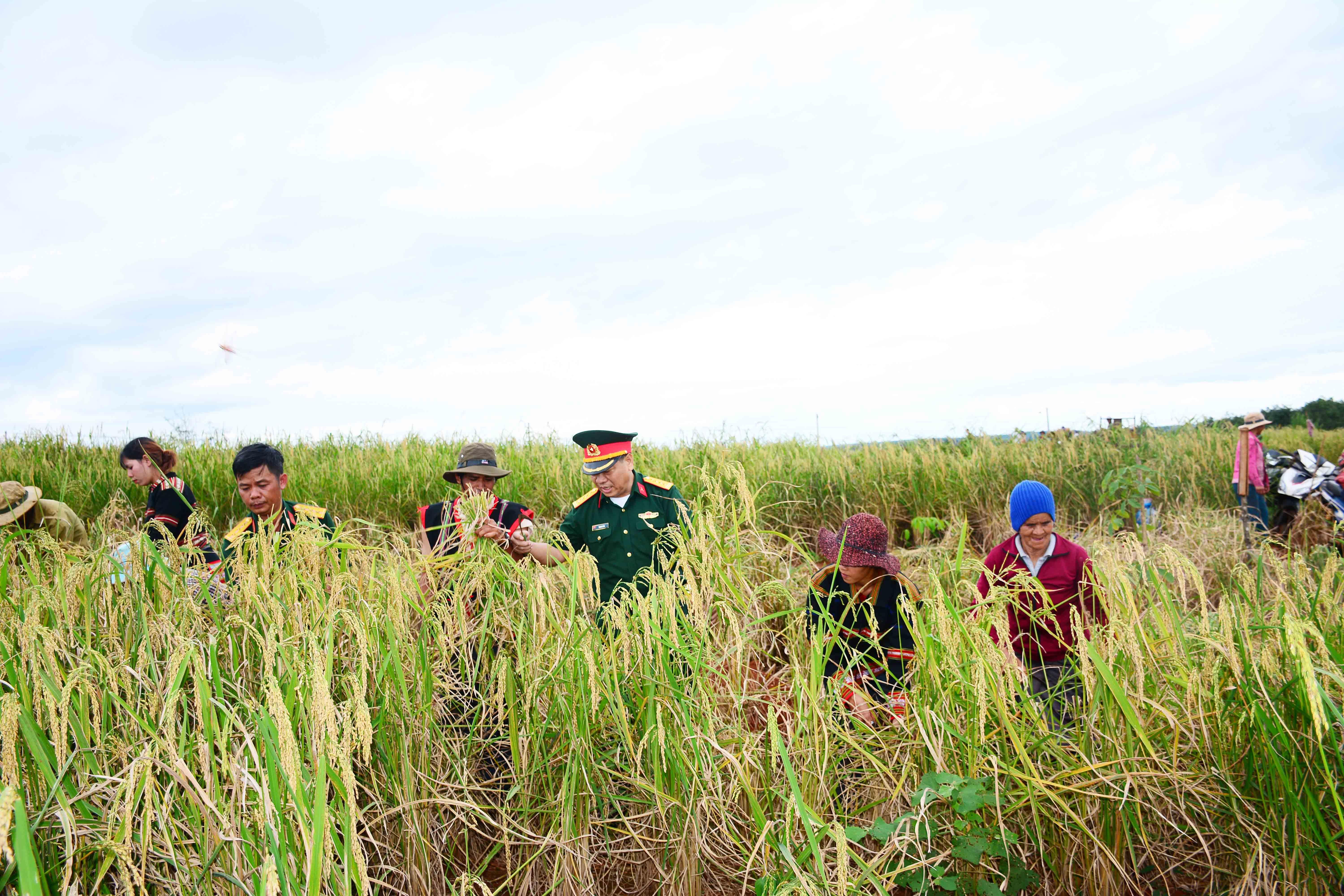 Giúp dân bằng mô hình 
