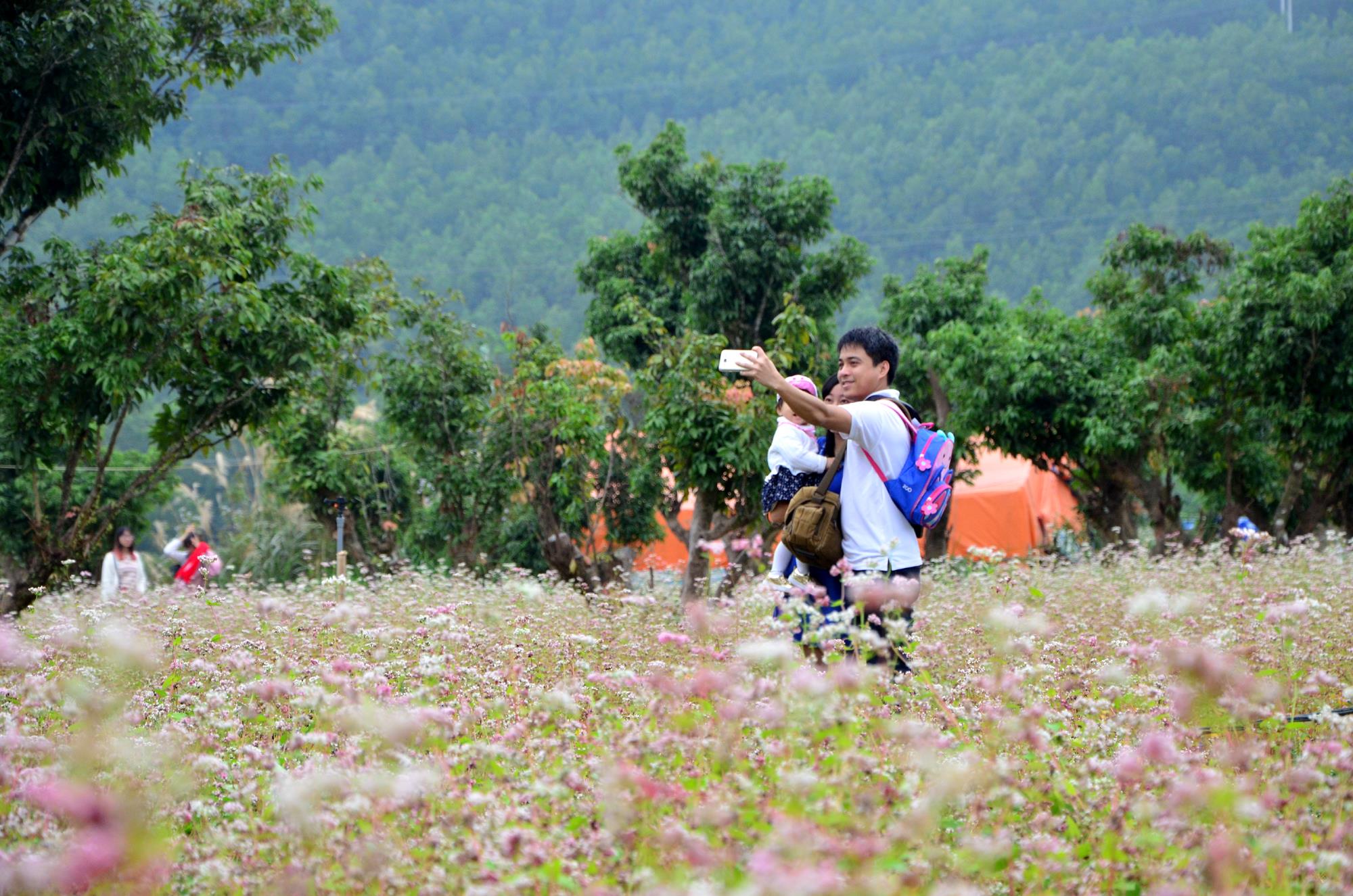 Chắp cánh cho du lịch Hạ Long
