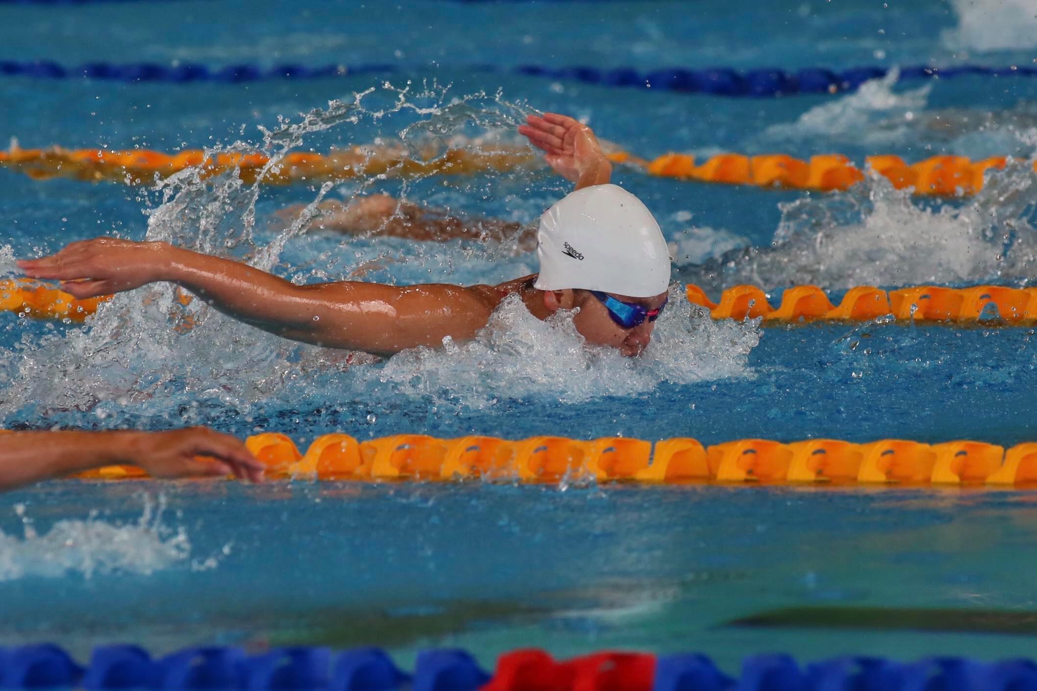 Nhiều nội dung bơi vào chung kết