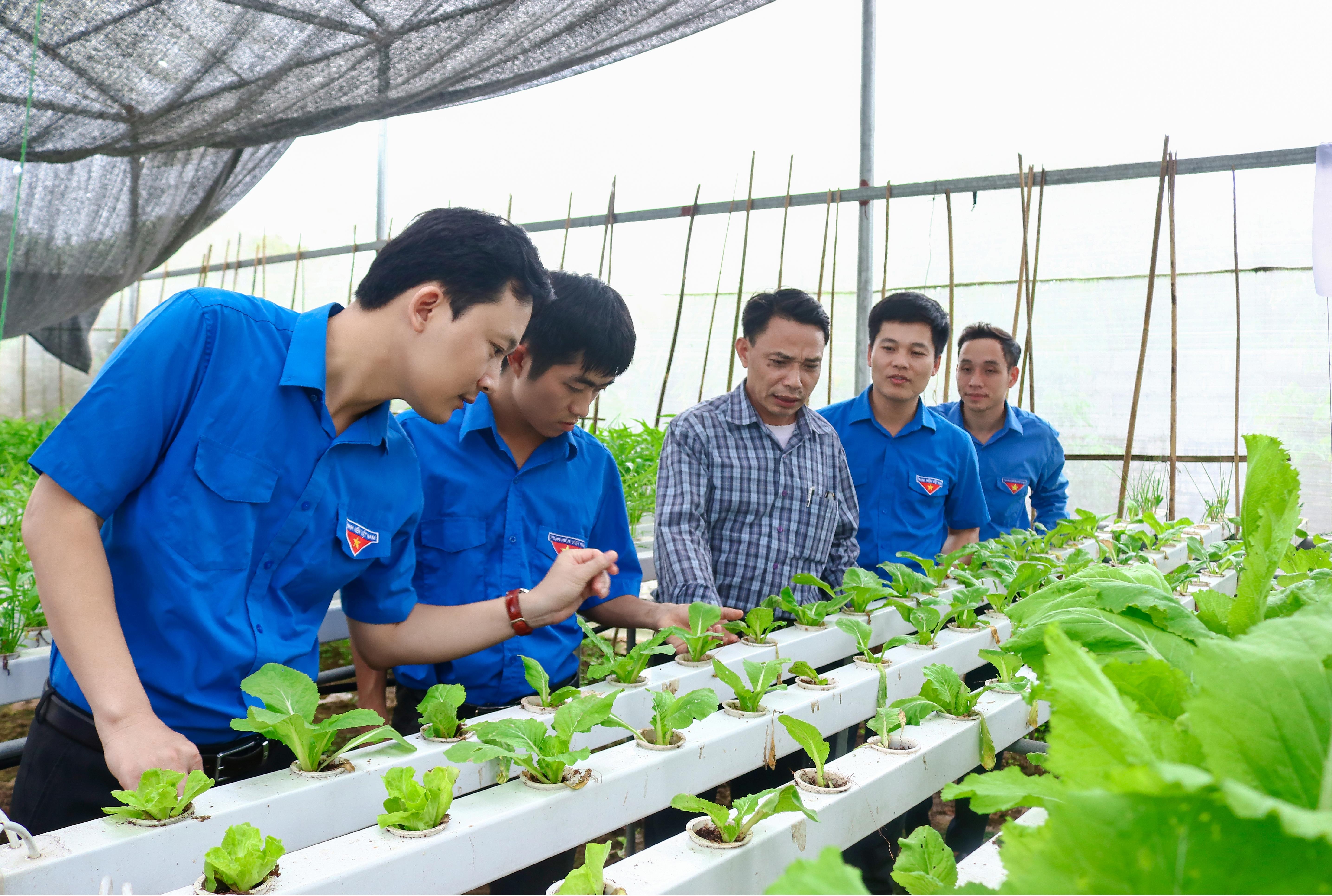 Kiến tạo môi trường để thanh niên phát triển toàn diện 

