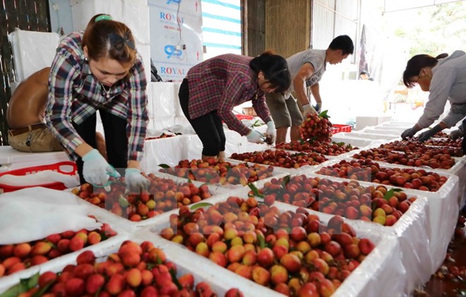 Xúc tiến thương mại góp phần đáng kể trong việc thúc đẩy xuất khẩu