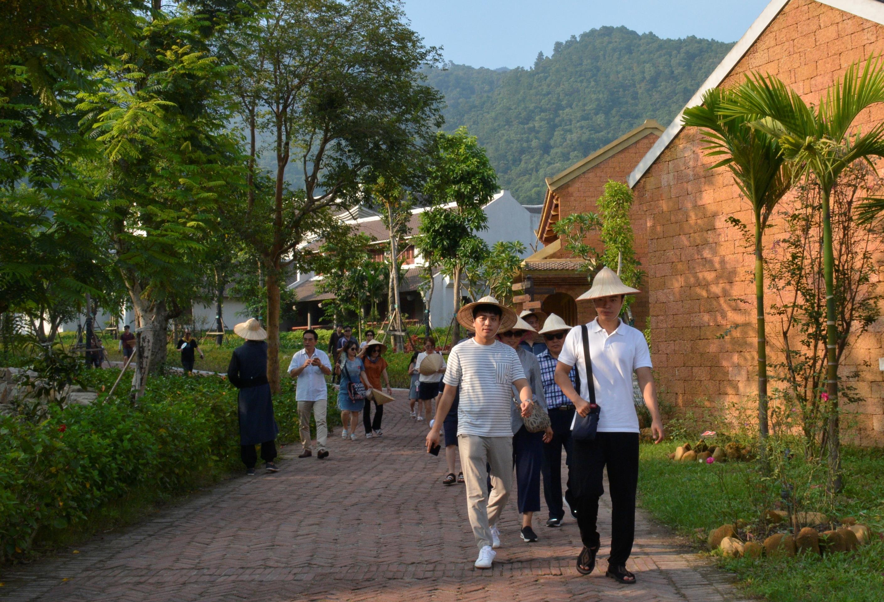 Du lịch Việt Nam vượt khó để tăng trưởng