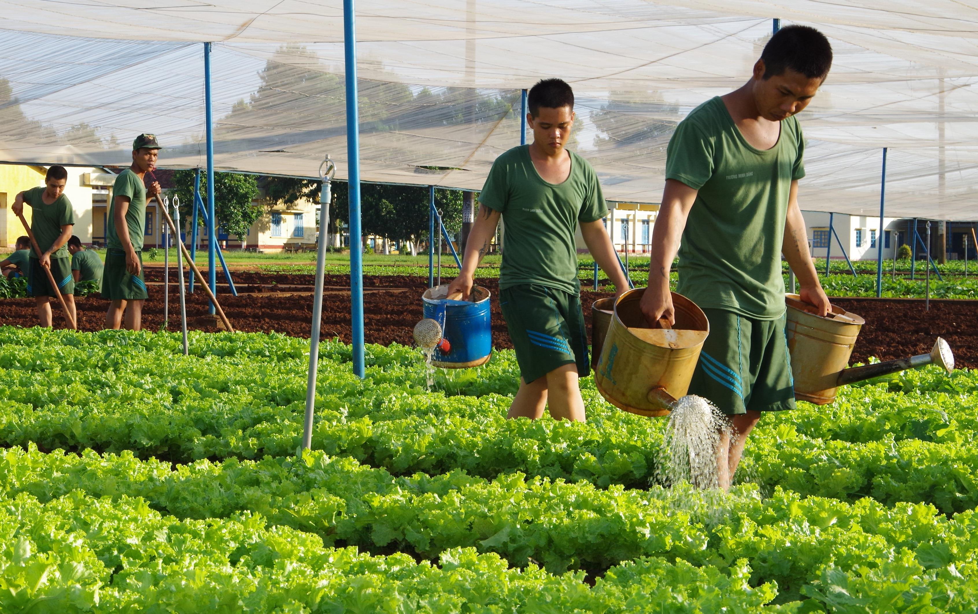 Điểm sáng trong công tác hậu cần ở Đoàn Tu Vũ

