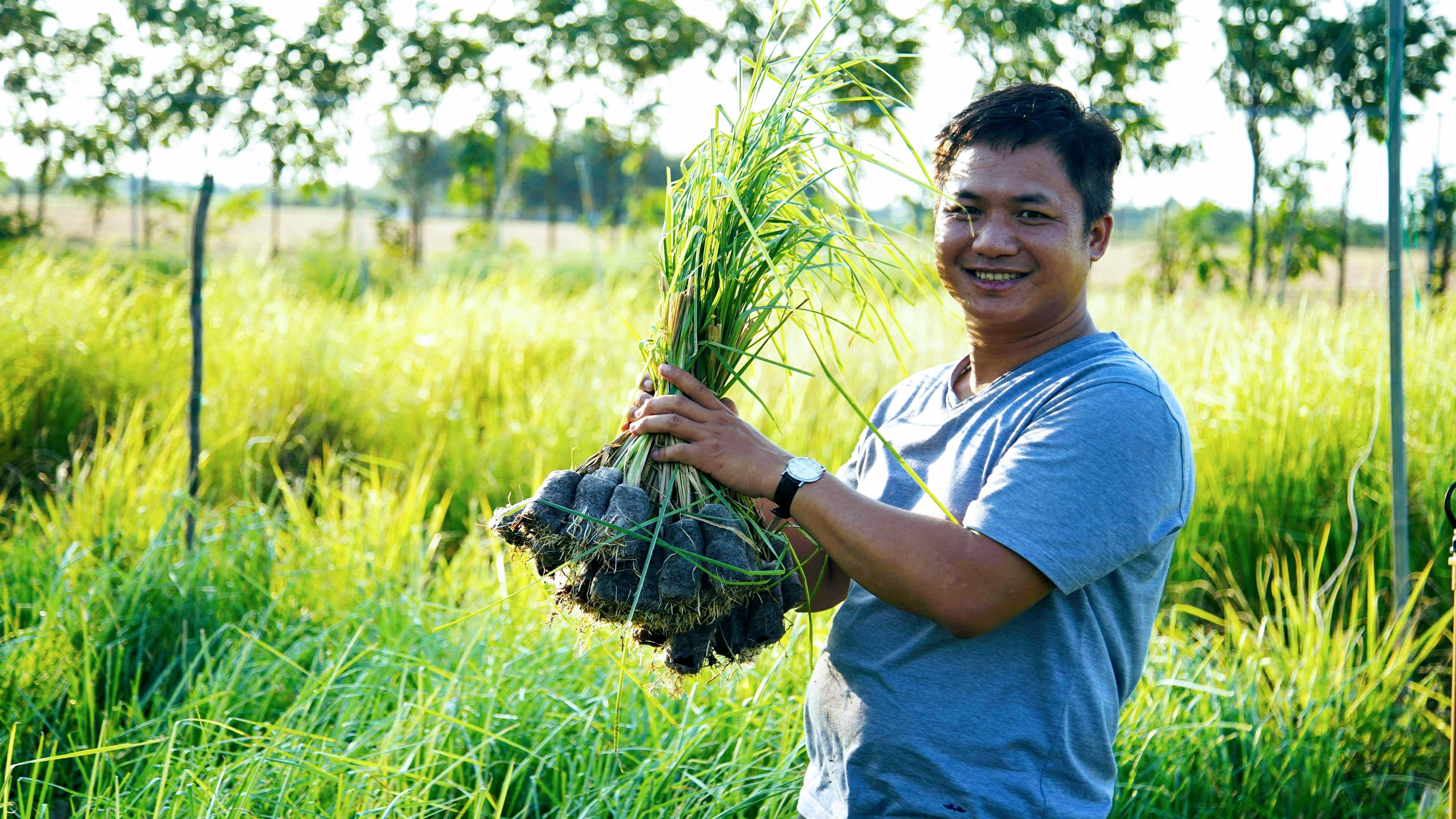 Ngô Đức Thọ và hành trình mang cỏ vetiver... ra Trường Sa

