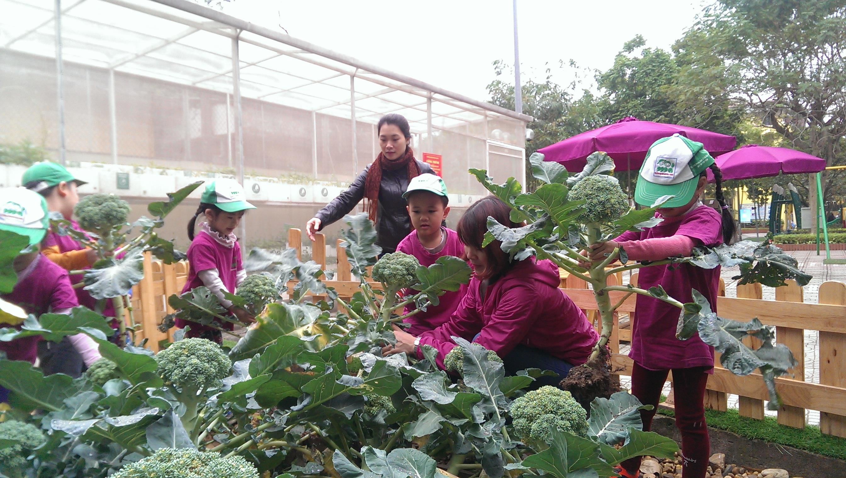 Tạo bước chuyển cho giáo dục mầm non  