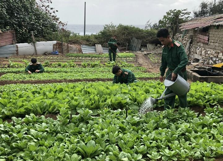 Tự lực về hậu cần trên đảo Bạch Long Vĩ