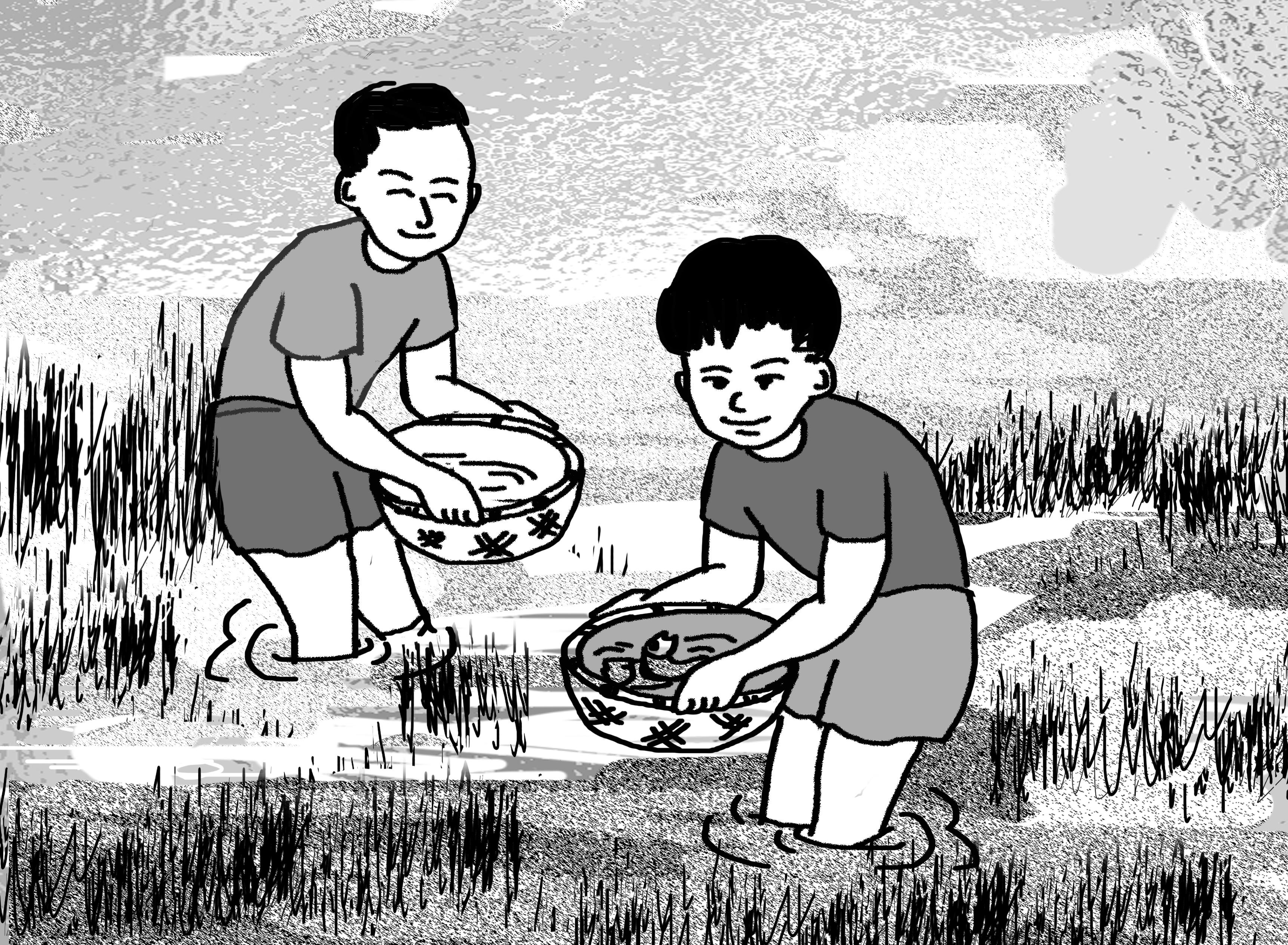 Cánh đồng tuổi thơ