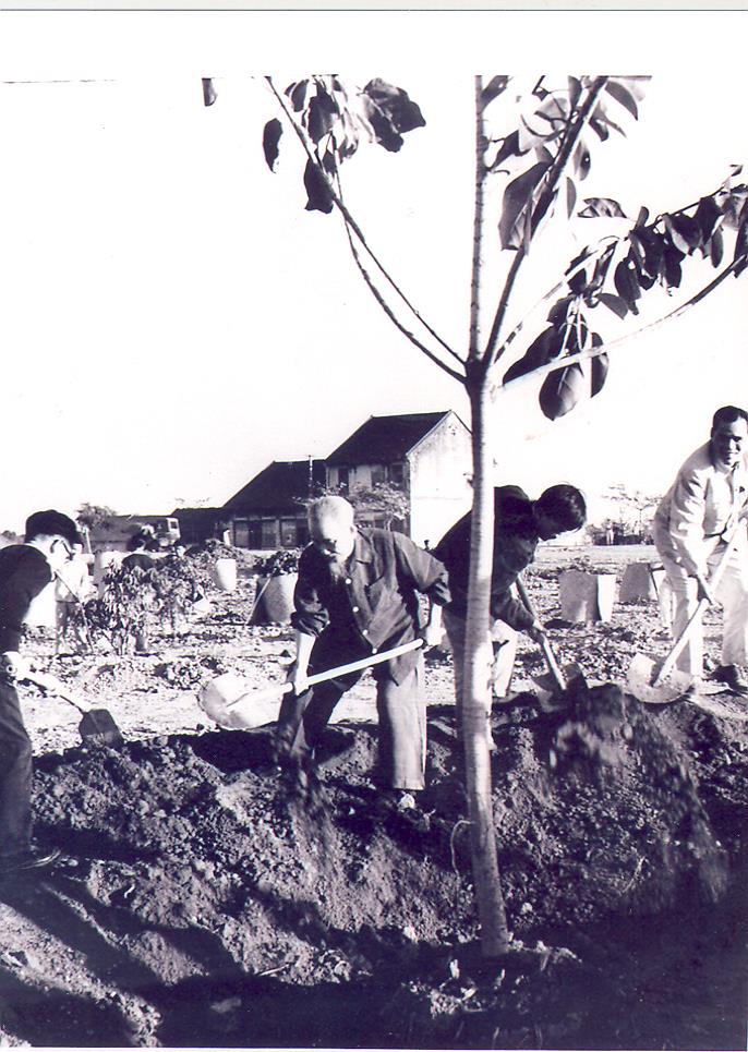 60 năm trước, Bác Hồ mở đầu Tết trồng cây

