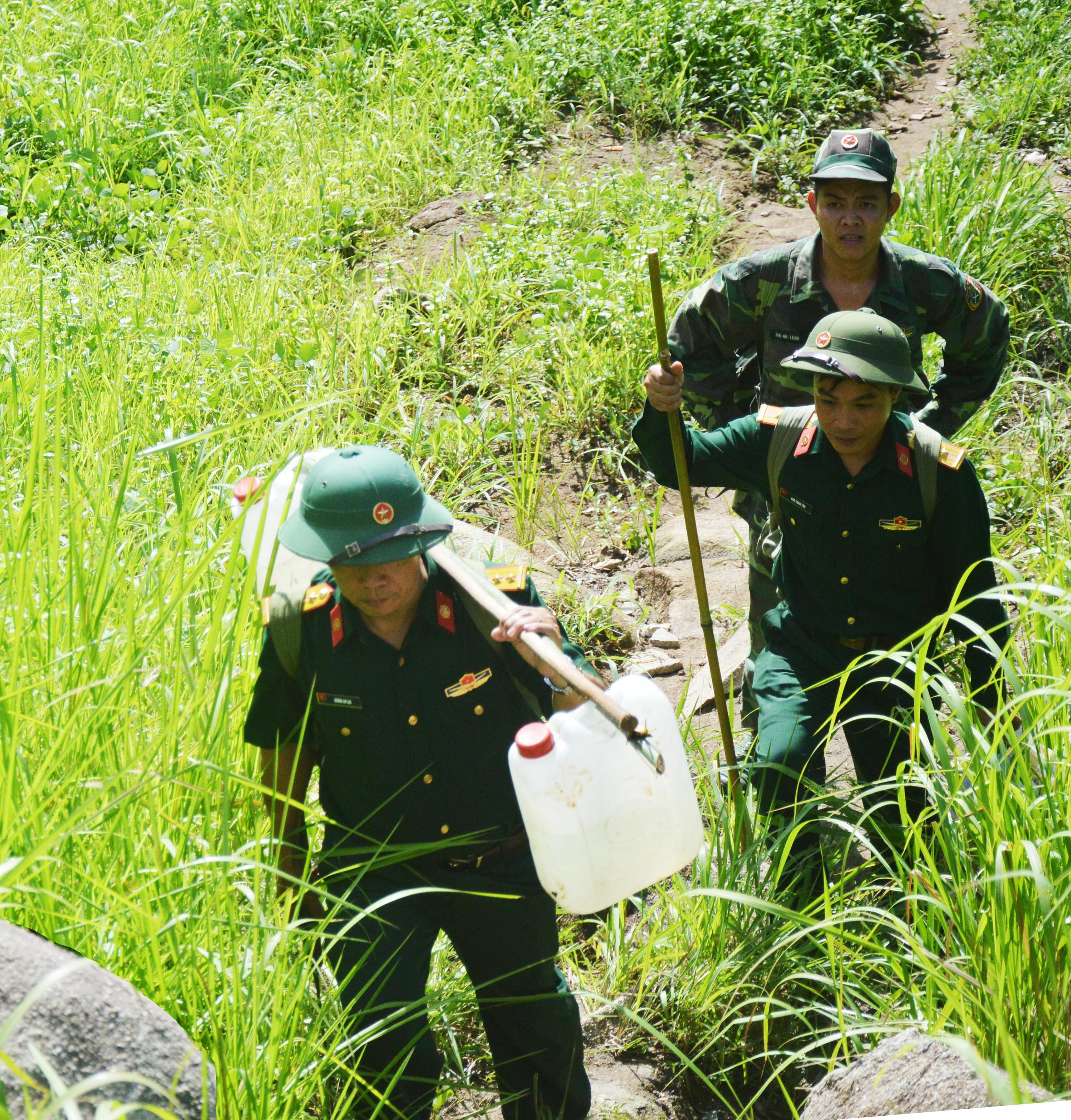 Xuân trên đỉnh núi
